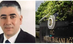 Dışişleri Bakan Yardımcılığına Hacı Ali Özel atandı