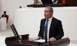 DEM Partili İrmez’den Suriye’deki yeni süreç ve Türkiye’nin rolüne ilişkin soru önergeleri