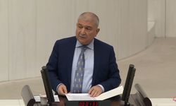 Kani Torun: “SDG’yi tek başına suçlamak yanlış, Türkiye arabulucu olmalı”