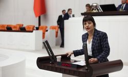 DEM Partili Konukçu’dan IŞİD İddialarıyla İlgili Çarpıcı Soru Önergesi