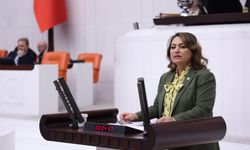 Şevkin, mecliste iktidara emekli maaşı ve TVF yönetimi üzerinden sert tepki gösterdi