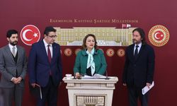 CHP Adana Milletvekili Şevkin “7 bin jeoloji ve jeofizik mühendisi işsiz kalabilir”