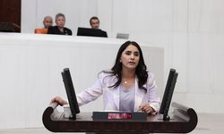 Nevroz Uysal Aslan: “Cezaevlerinde yeni bir infaz yakma rejimi kurulmuştur”