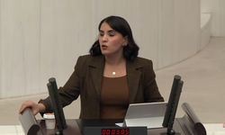 Nevroz Uysal Aslan: “Rojava’yı Savunmak Suç Değil, İnsanlığı Savunmaktır”