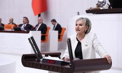 Özdemir'den Trafik Cezaları Görüşülürken Vicdan Vurgusu: “Sorun Bütçede Değil, Vicdanda”