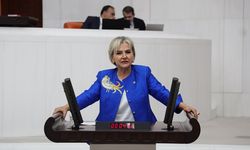 CHP’li Özdemir Ankara’daki gece kulübü operasyonunu Meclis Gündemine Taşıdı