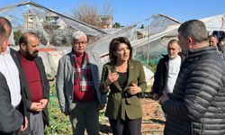 CHP’Lİ GÜLCAN KIŞ: “BİR GECEDE YOK OLAN EMEĞİ MECLİS GÜNDEMİNE TAŞIYORUZ”