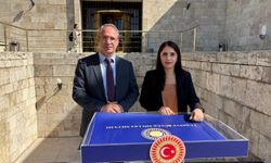 Nevroz Uysal Aslan ve M. Zeki İrmez’den Şırnak Cezaevi Ziyareti Sonrası Başvuru