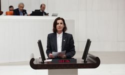 CHP’li Aliye Coşar: “Altyapı yapılmazsa cezaları artırmak kazaları önlemez”