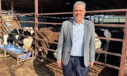 CHP Adana Milletvekili Ayhan Barut, "Et krizinin nedeni AKP politikaları"