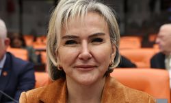 Kayıp Çocuklar Meclis Gündeminde: CHP’li Özdemir’den “Neden Resmî Rakam Yok?” Sorusu