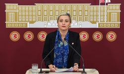 Perihan Koca’dan Meclis’e Çifte Gündem: Migros Depo İşçileri ve Diyar Koç İçin Adalet Talebi