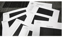 Epstein dosyaları: Kamuoyuna hangi bilgilerin açıklanacağına kim karar veriyor?