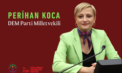 Perihan Koca Soruyor: Epstein Dosyaları, Kayıp Çocuklar ve Türkiye’de Derinleşen Sessizlik