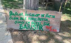 Barış Gürültüyle Değil, İrade ve İletişimle Kurulur: Türkiye İçin Yeni Bir Eşik