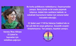 “Yaşamı Yok Eden Yasaya Karşı Hayattan Yanayız” – İlkay Akkaya’dan İktidara ve Topluma Vicdan Çağrısı