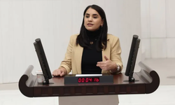 DEM Parti’li Nevroz Uysal Aslan: “Şırnaklı Çocuklara Yönelik İhlaller Sistematik”