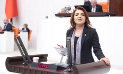CHP’li Gülcan Kış: Faize 228 milyar dolar bulundu, emekliye 28 bin lira çok görüldü