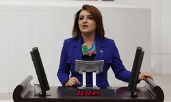 CHP'li Gülcan Kış: İŞSİZLİK DÜŞMÜYOR, GENÇLER İŞ ARAMAKTAN VAZGEÇİYOR!