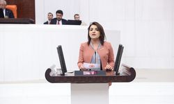 CHP’li Gülcan Kış: “Milli Parklar Kanunu, AKP’nin 24 yıllık son satış kataloğudur”