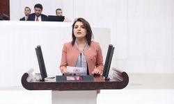 CHP’li Gülcan Kış: “Mersin Limanı’ndaki taşeron düzeni açık bir sendika düşmanlığıdır”