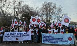 Migros Görüşmeleri Tıkandı: 303 İşçinin İadesi Sürecin Kilit Noktası