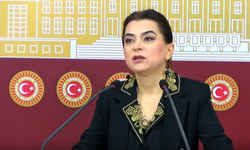 Koçyiğit’ten Mürşitpınar Sınır Kapısı Çağrısı: “Yardımlar Yarım Saatte Kobani’ye Ulaşabilir”