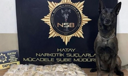 Zeytinyağı tenekelerinden 100 bin uyuşturucu hap çıktı