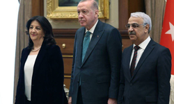 DEM Parti İmralı Heyeti'nden Erdoğan görüşmesi sonrası ilk açıklama