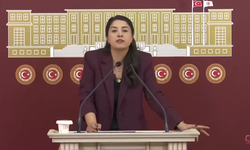 DEM Partili Dilan Kunt Ayan’dan Hızlı Tren Tepkisi: “Urfa’nın Suçu Ne?”