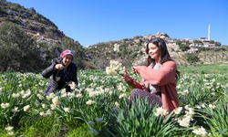 BÜYÜKŞEHİR ATIL ARAZİLERİ NERGİS SOĞANI İLE DEĞERLENDİRİYOR