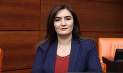 CHP'li AV. SEVDA ERDAN KILIÇ: “ÇOCUK İSTİSMARI; GÖRMEDİK, DUYMADIK’ DENİLEREK ÖRTBAS EDİLEMEZ.”