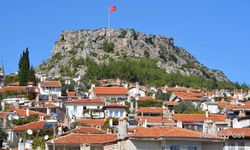 Zeytinliklerde Bereket Yılı: Üretici Rekolteden Memnun