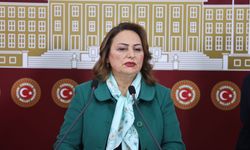 CHP Adana Milletvekili, TBMM Başkanlık Divanı Üyesi Dr. Müzeyyen Şevkin, ekonomik krizin etkilerine dikkat çekti