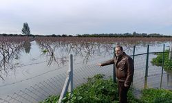 ÇUKUROVA TARIMI 2026’DA AŞIRI YAĞIŞLARIN BASKISI ALTINDA