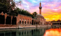 Viranşehir Ovası'nda Üretim Seferberliği: Çiftçinin Umudu Yeşeriyor