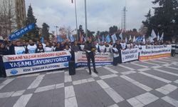 Suruç’tan Kobanê İçin Ortak Çağrı: “İnsani Yardım Engellenemez”