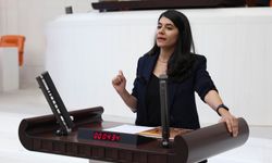 Beritan Güneş: Madde bağımlılığı politikası yok, anadil hakkı yok, dijital yasaklar çözüm üretmiyor