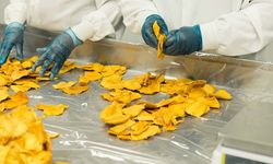 Adana ve Hatay’daki KOBİ’lere 250 Bin TL Geri Ödemesiz Destek