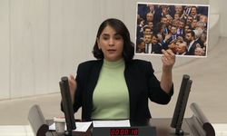 Nevroz Uysal Aslan: “Bu Fotoğrafta Kuvvetler Ayrılığı Yok, Siyasal Vesayet Var”