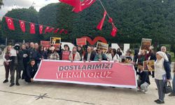 Adana’da Hayvanseverlerden “Ölüm Politikalarına” Tepki: “Dostlarımızı Vermiyoruz, Barınak Değil Yaşam”