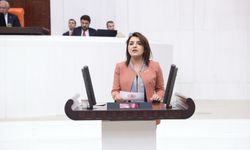 CHP'li KIŞ, ÖNCE İHRACAT YASAĞI, ŞİMDİ İTHALAT:    AKP MERSİNLİ ÜRETİCİNİN EMEĞİNE LİMON SIKIYOR