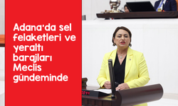 “Adana’da selin bedelini çiftçi ödüyor”: Şevkin yeraltı barajlarını Meclis gündemine taşıdı