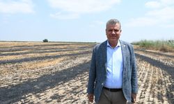 Ayhan Barut'tan iktidara çağrı "Savaş ortamı ve büyüyen kriz, gıda egemenliğini tehdit ediyor"