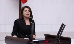 Gülcan Kış, “Bakım Altında Olması Gereken Bir At Sofraya Nasıl Geldi?”