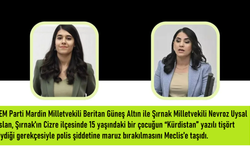 15 yaşındaki çocuğun “Kürdistan” yazılı tişört giydiği gerekçesiyle şiddete maruz kalması Meclis’e taşındı