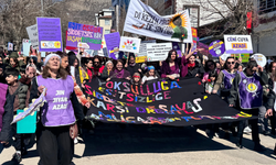 DEM Partili Ayten Kordu’dan Dersim’deki 8 Mart müdahalesine soru önergesi