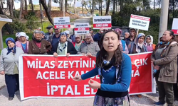 Akbelen’de Direnişe Tutuklama: Esra Işık Cezaevinde, Köylüler Ayakta