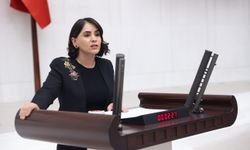 Şırnak’taki sel ve ekolojik yıkım Meclis Gündeminde