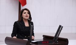 CHP’li Gülcan Kış’tan Ulaştırma Bakanı Uraloğlu’na sert tepki: “THY’ye siyasi kalkan mı var?”